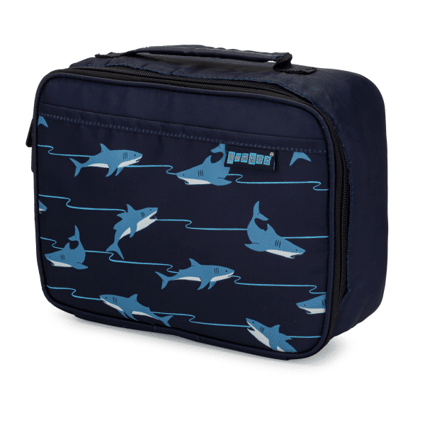 Atlantic Shark
