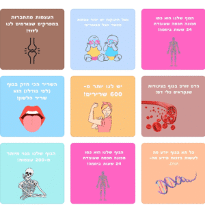 כרטיסיות לארוחת הבוקר רופא לדעת כרטיסיות לארוחת בוקר מסדרת רופא לדעת